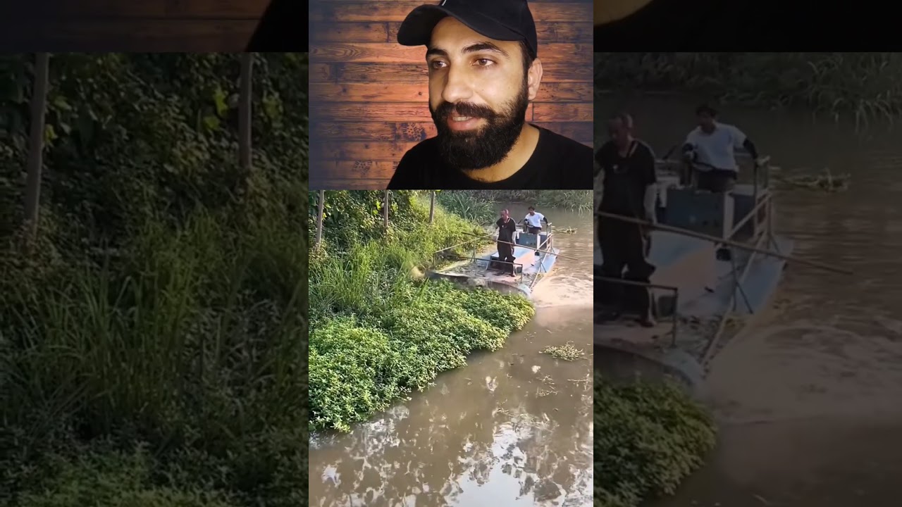 Nature's Warriors Cleaning Canal Like Pro Using Boat with   Weed Cutter 