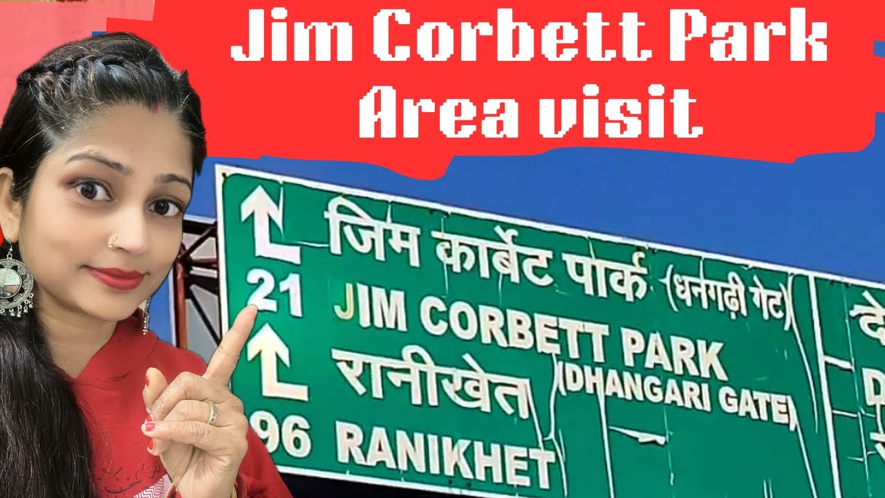 Discovering the Untamed Beauty of Jim Corbett | Jim Corbett area visit 