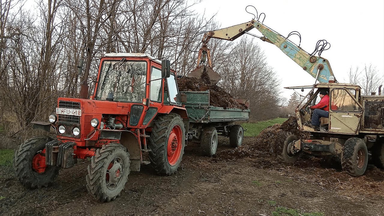 Weimar T-174/1 Trágyarakodás és MTZ 82 & HW 8011 Trágyahordás 2025