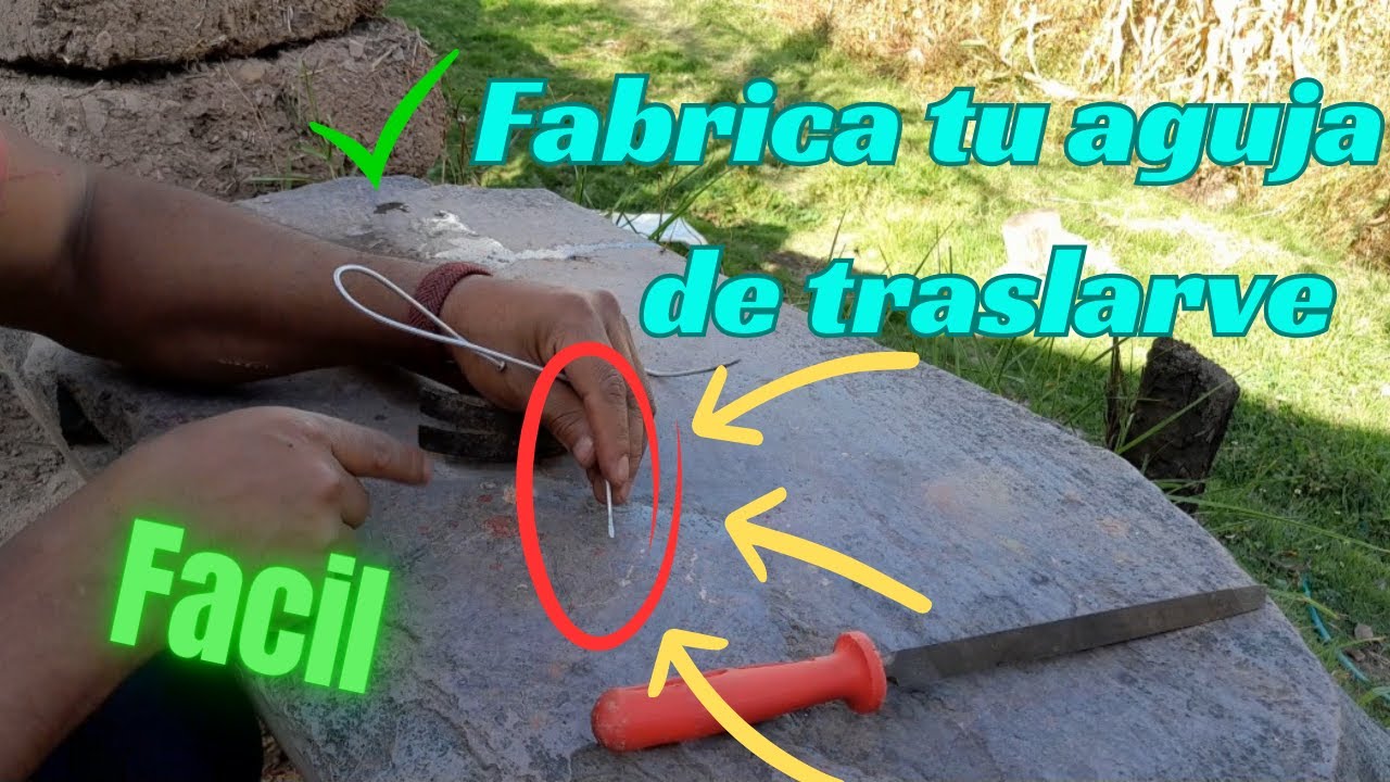 Como hacer un aguja de traslarve