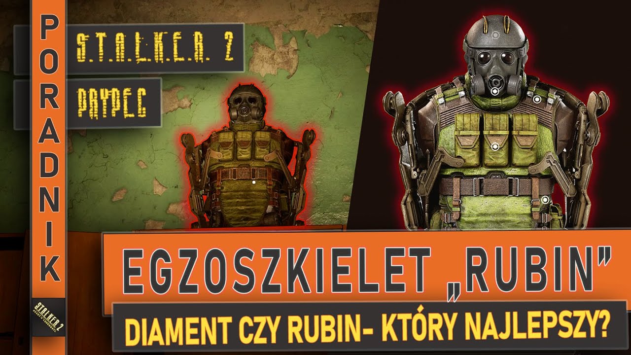 EGZOSZKIELET 
