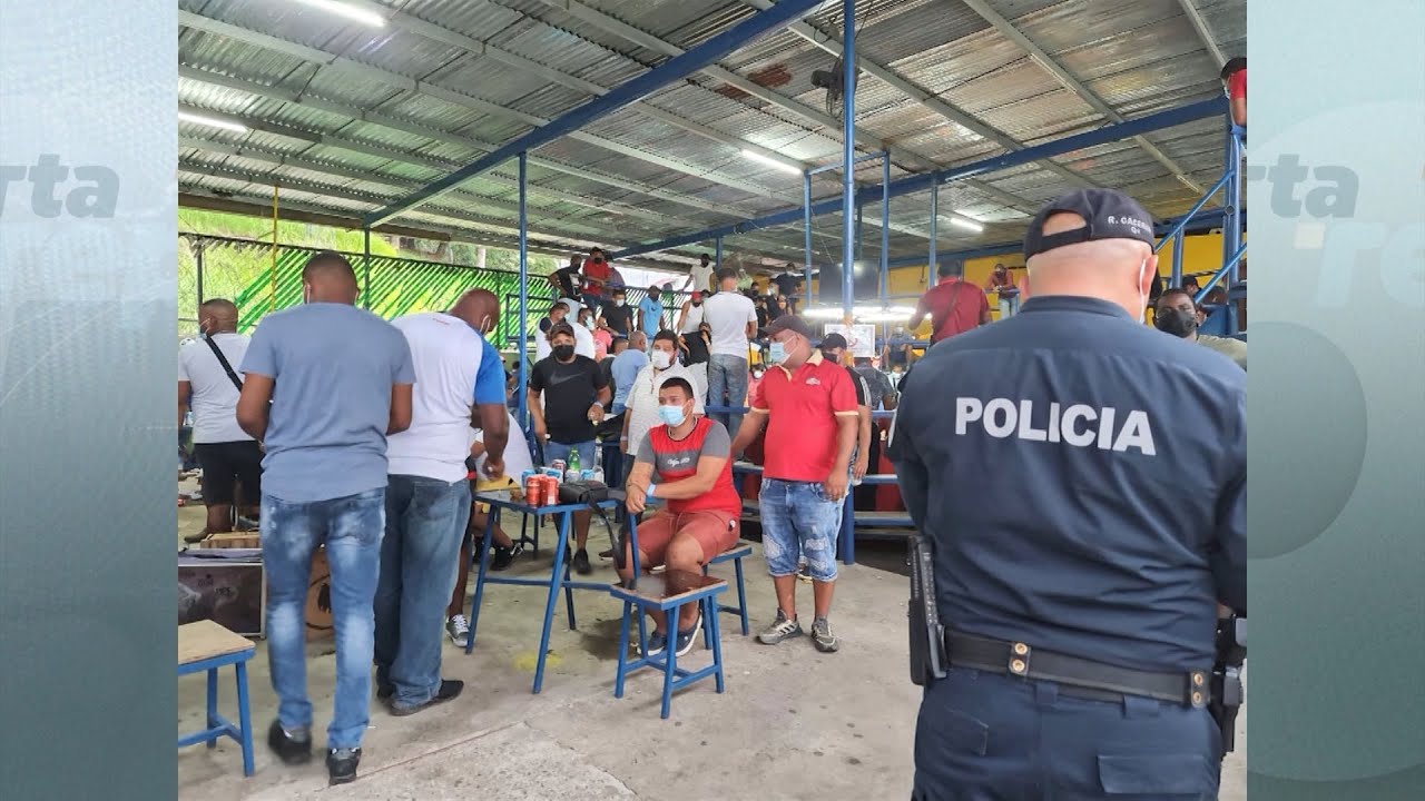 Cierran gallera en San Miguelito por incumplir medidas de bioseguridad