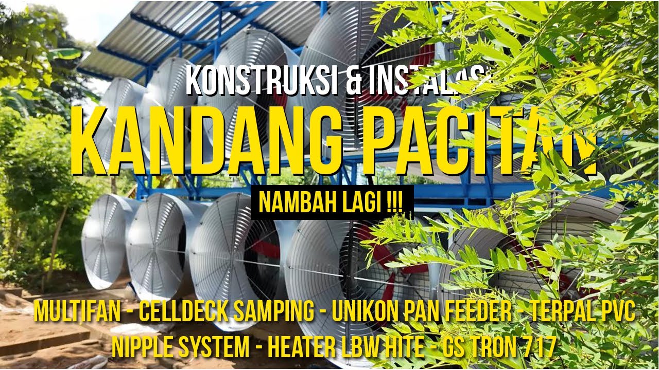 KETAGIHAN DONG! LANJUT KANDANG KEDUA!!! - REVIEW KANDANG PACITAN 12x90 2 lantai