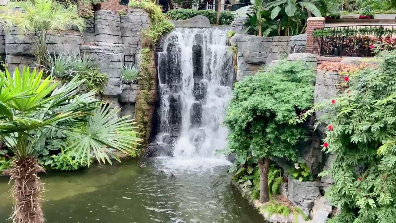 Waterfall in the Garden Conservatory — Gaylord Opryland Hotel - Indoor Tropical Oasis. Nashville, TN