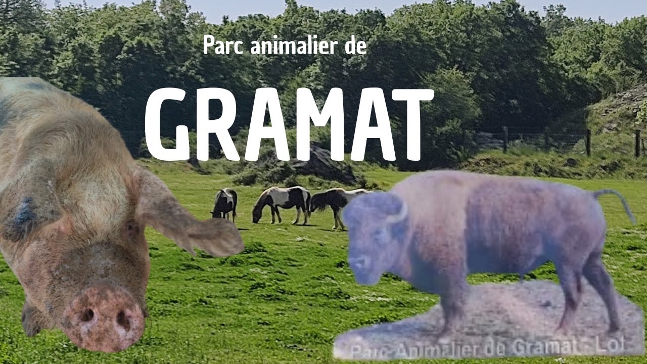 DIRECTION : Parc animalier de GRAMAT 🦬