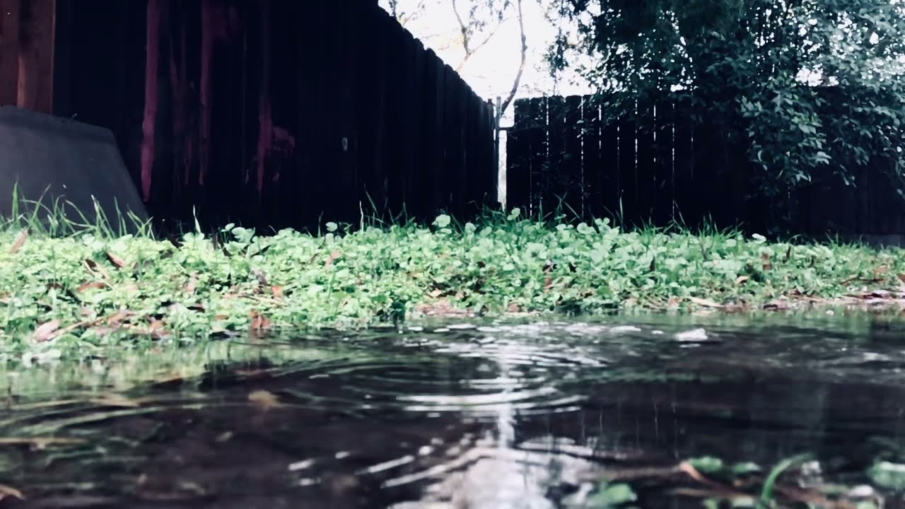 Nitrogen - Operation: Pulse