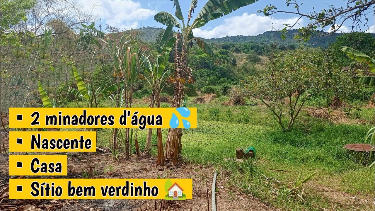 Sítio bem verdinho em Terra Vermelha PE | com muita água! | 1.5 hectares