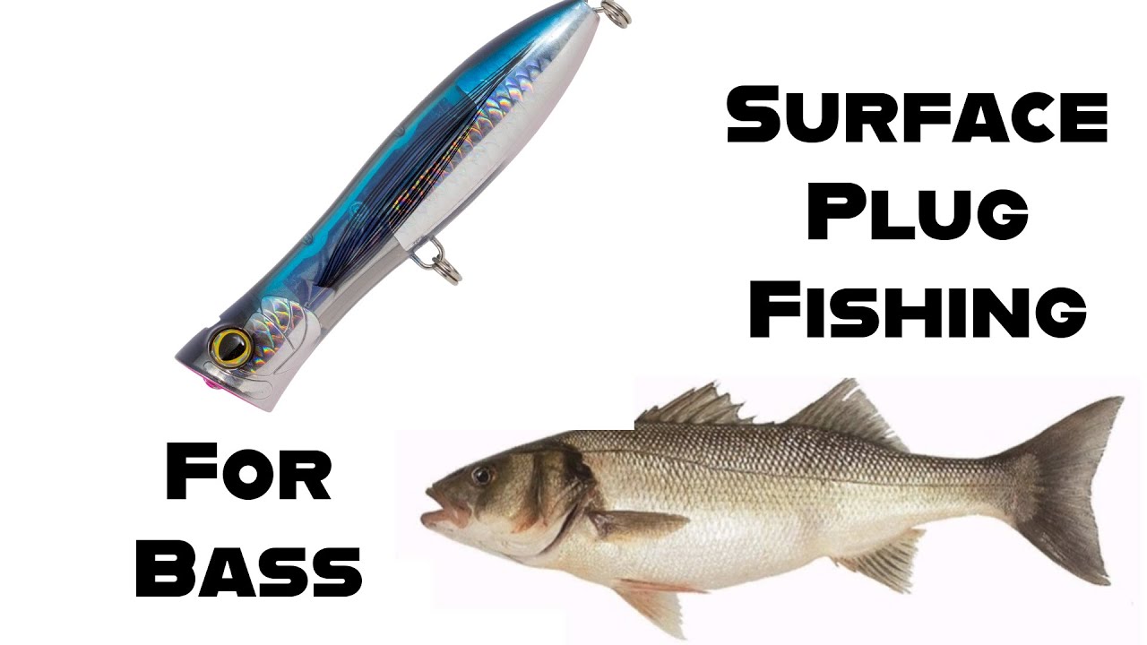 How To Catch Bass Using Surface Plug Lures (Lure Fishing UK) - Sea Fishing Tutorial