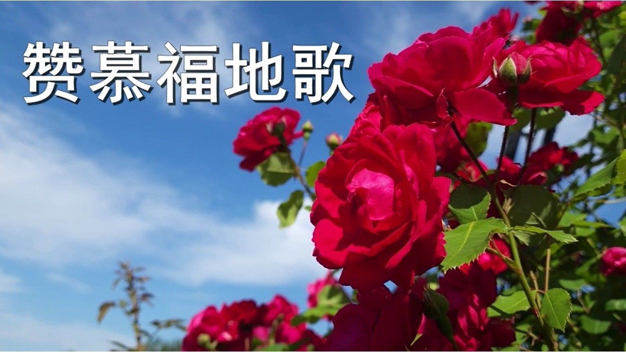 赞慕福地歌 / 변찮은 주님의 사랑과. 首尔中国人教会。崔晃奎牧师。大林洞。서울중국인교회. 최황규 목사. 대림동.