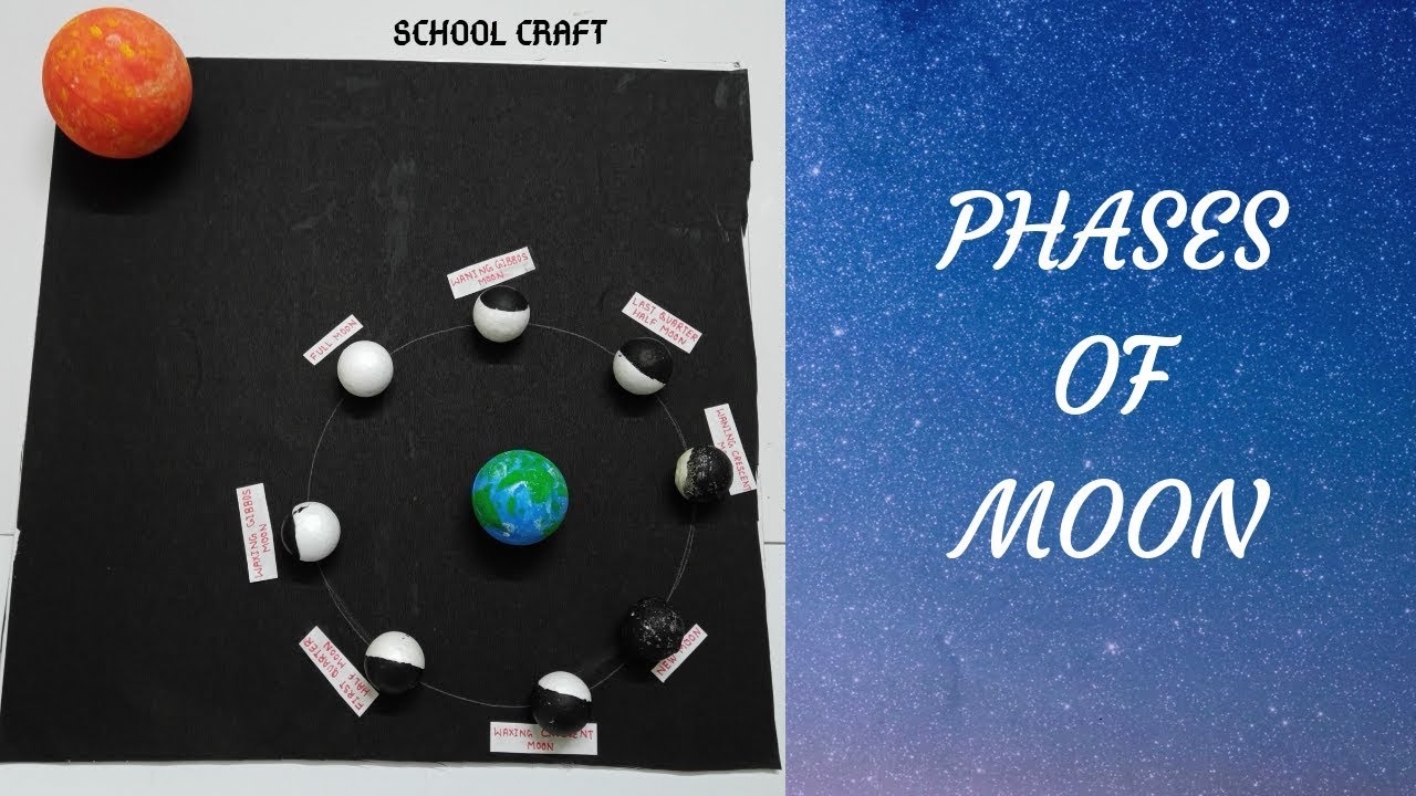 Phases of moon model| Model of lunar of moon| School Craft