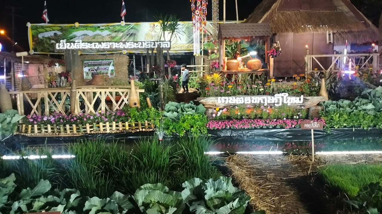 EP.1👉พาหย่างเที่ยวชมงานบุญคูณลาน🌾อำเภอจังหาร2️⃣5️⃣6️⃣9️⃣🎉#บ่าวต้นคนไทบ้าน 