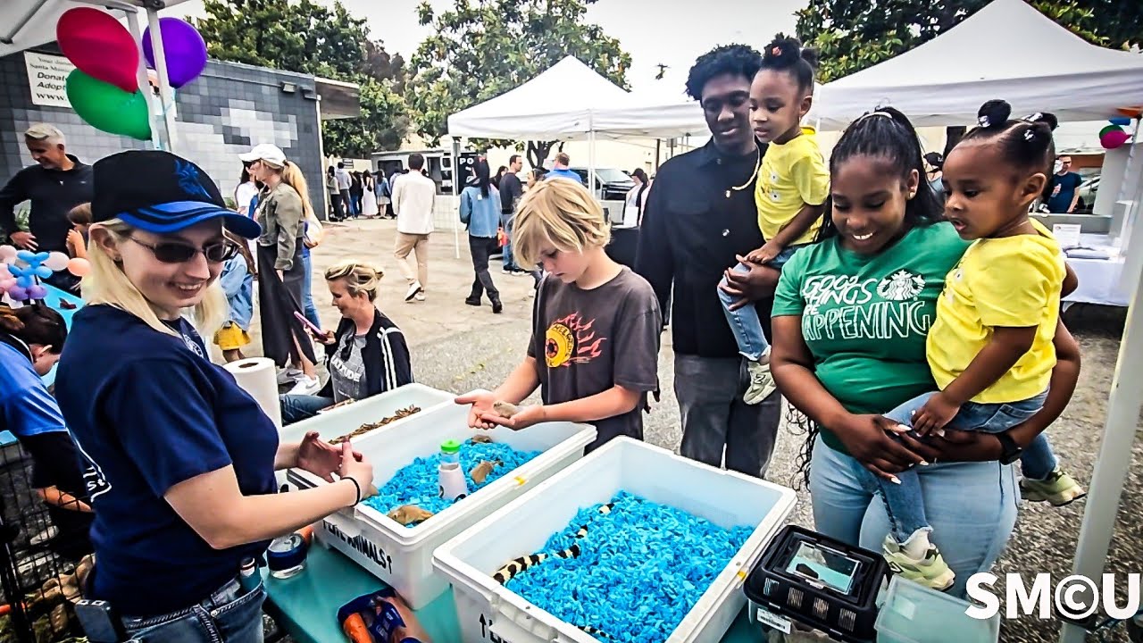 Santa Monica Animal Shelter Fundraiser Unites Community for Animal Welfare