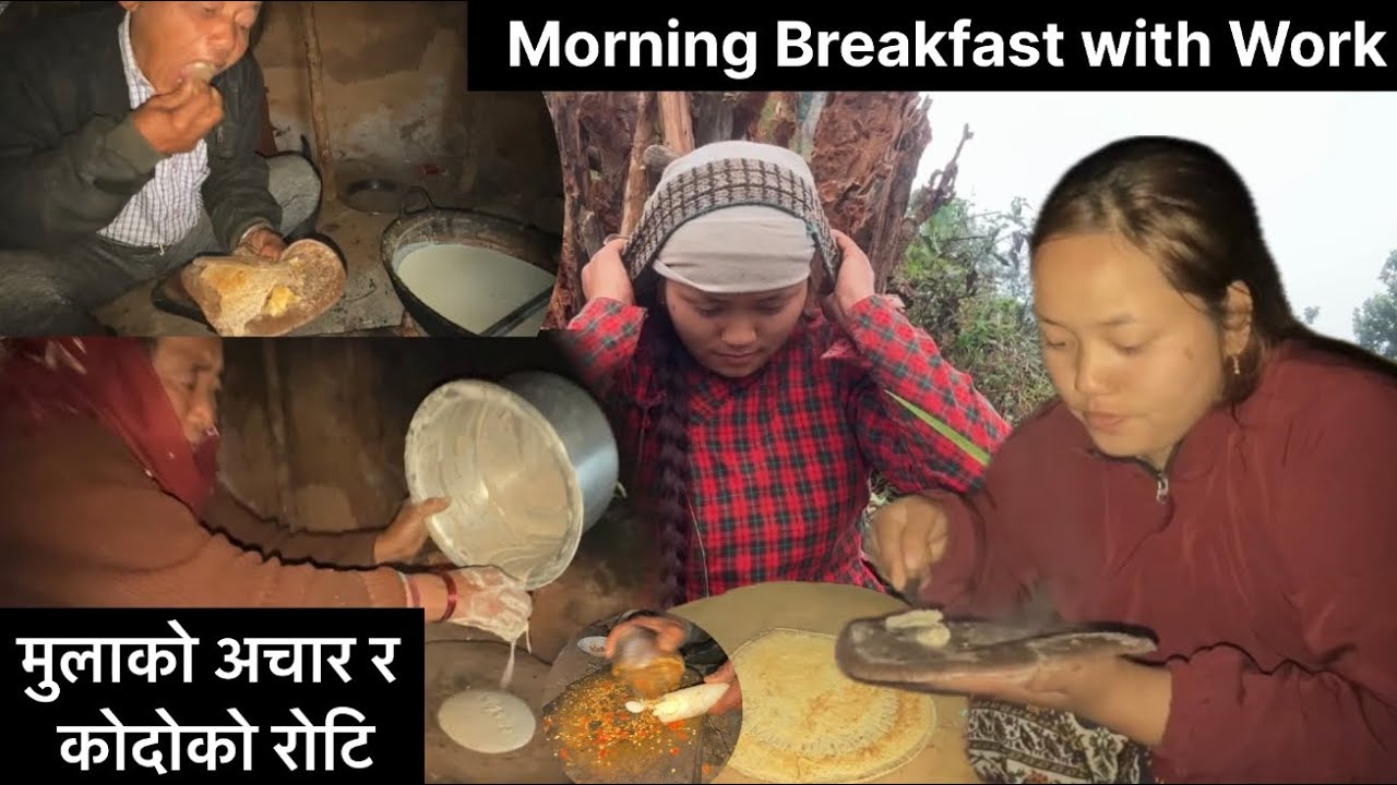 बिहानिको सुरुवात कोदोको रोटी सङ मुलाको अचार खाजा / Beakfast  ghee with Radish Pickle Ymmy / गाउघर