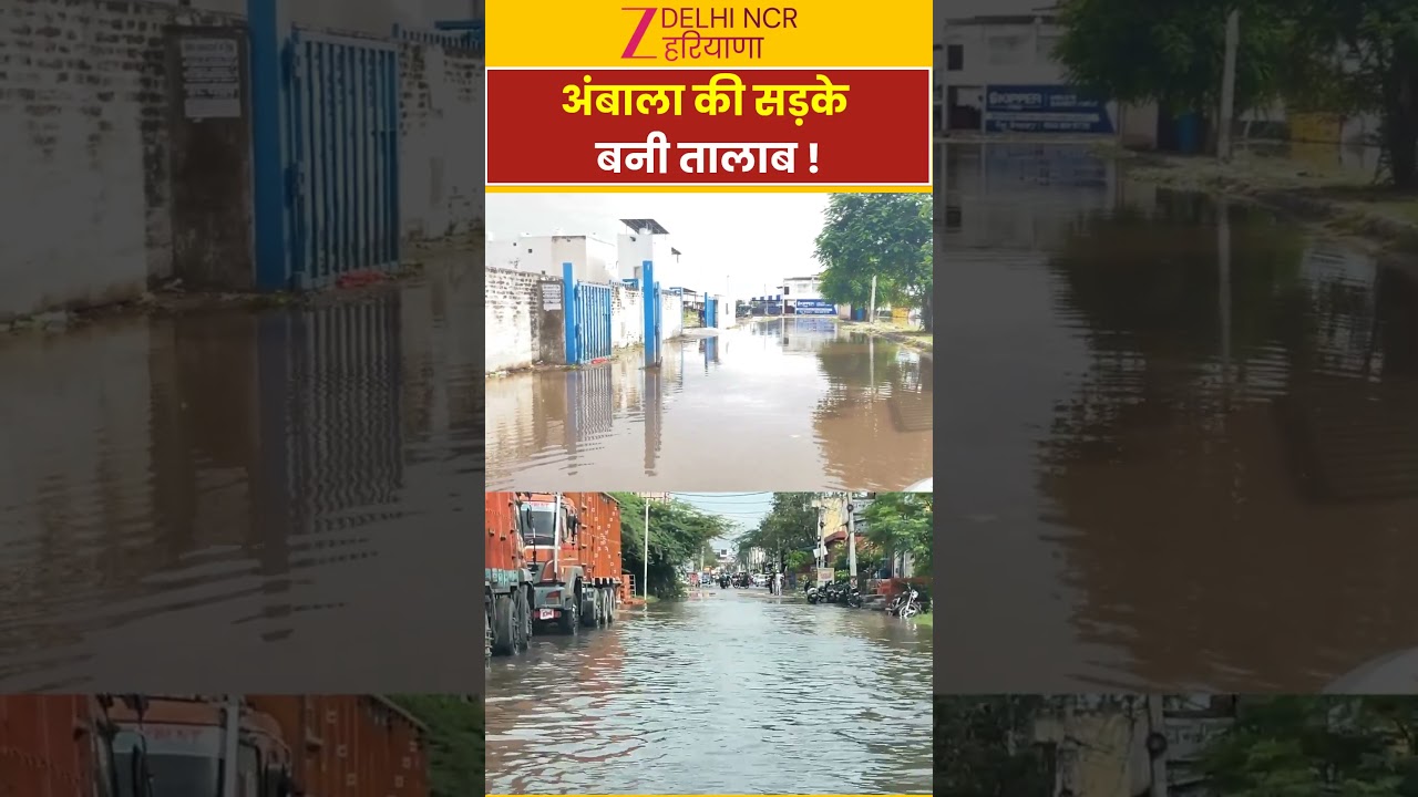 Ambala Flood : अंबाला की सड़के बनी तालाब... प्रशासन पर उठे सवाल ? | I Ambala | ZEE Delhi NCR Haryana