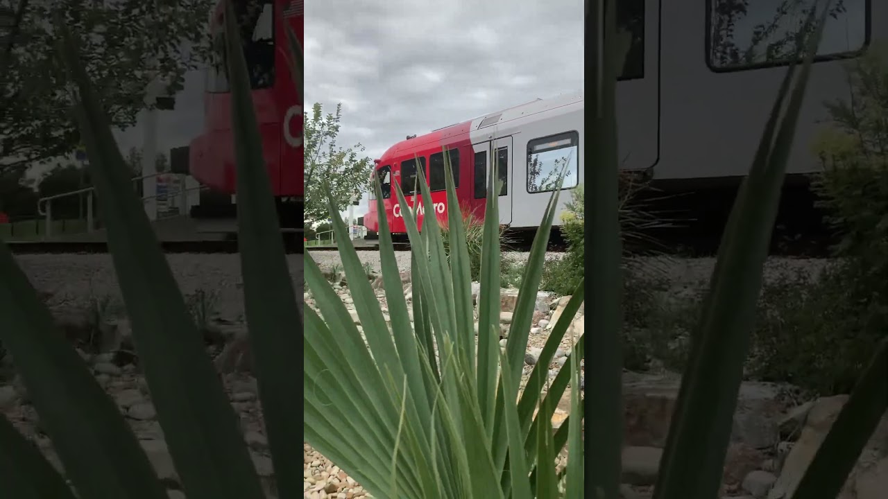 Capital MetroRail Stadler GTW at Leander Station #transit #austin #train #metro