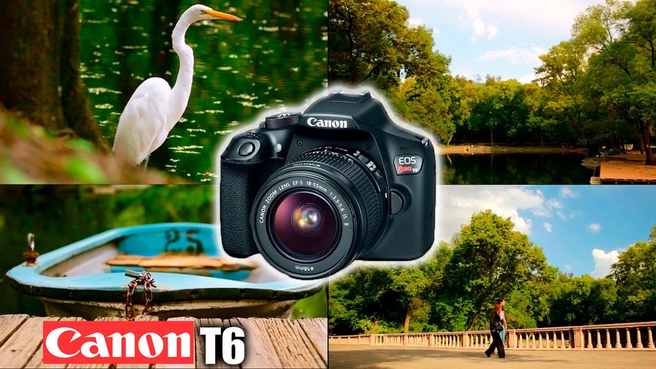 Como GRABAR VIDEO con CANON T6 / T7 / -Cinematico #fotografia #filmmaker #canon