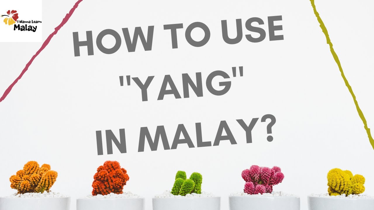 LEARN MALAY - How to use YANG in Malay sentences