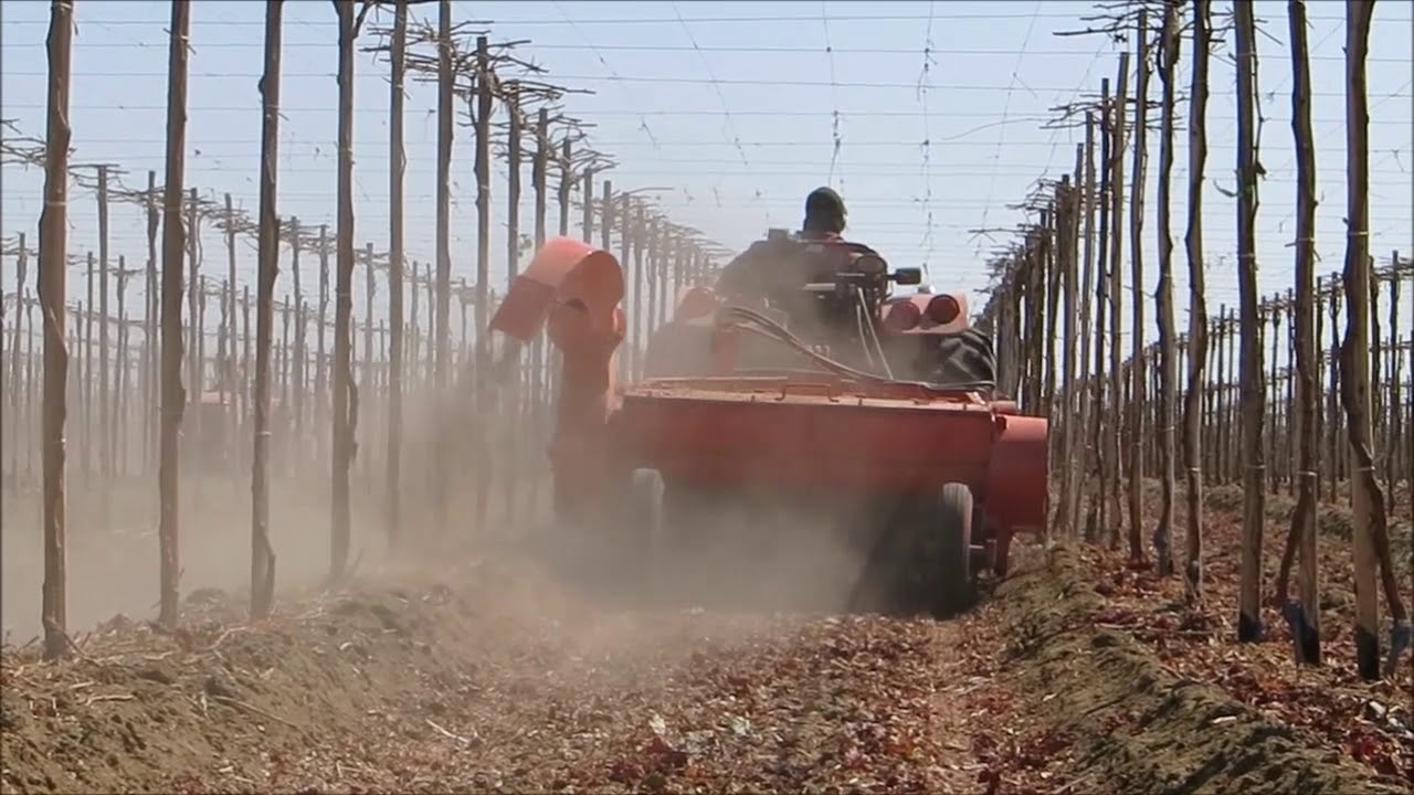 Trituradora de sarmiento con turbina repicadora