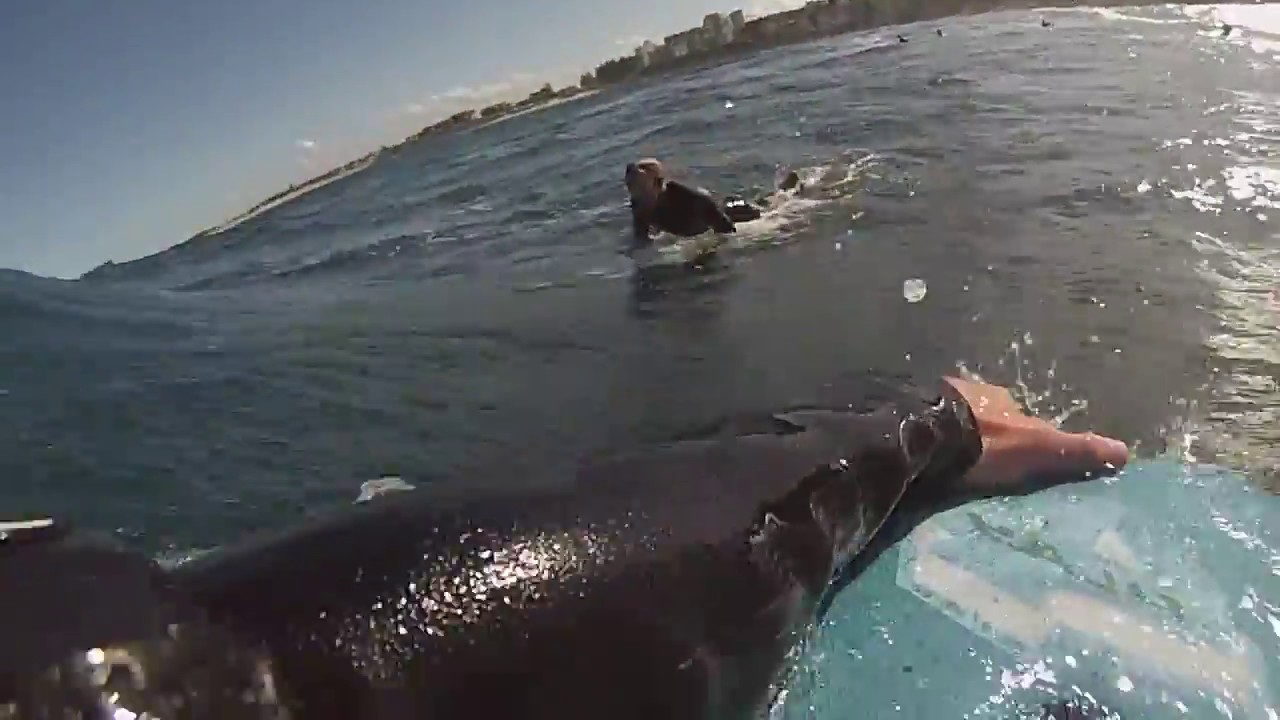 Bodyboarding POV - Bodyboarding Cronulla (Edit)