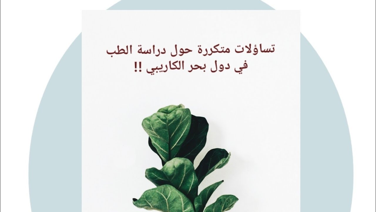 التساؤلات المتكررة بخصوص 
