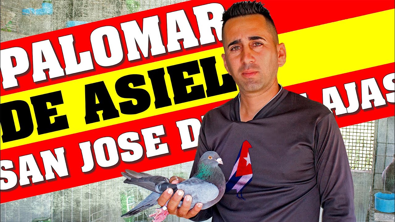 Palomar de Conquista de Asiel en San José de las Lajas.