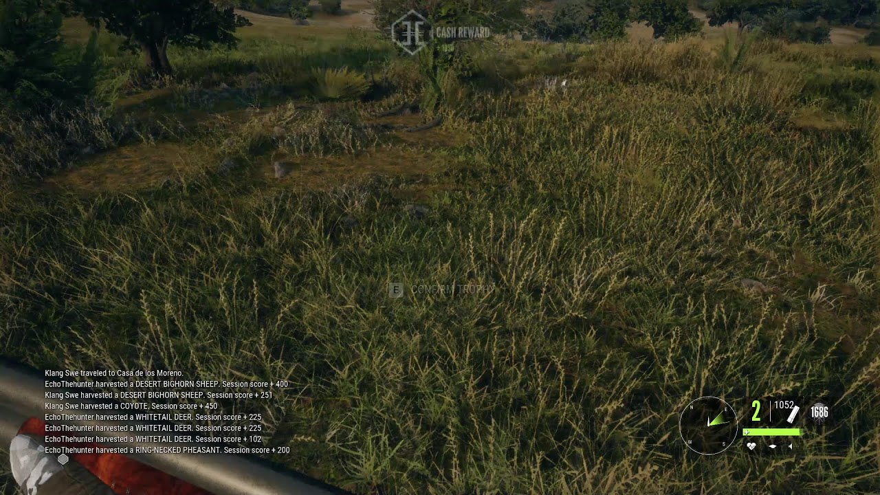Thehunter call of the wild