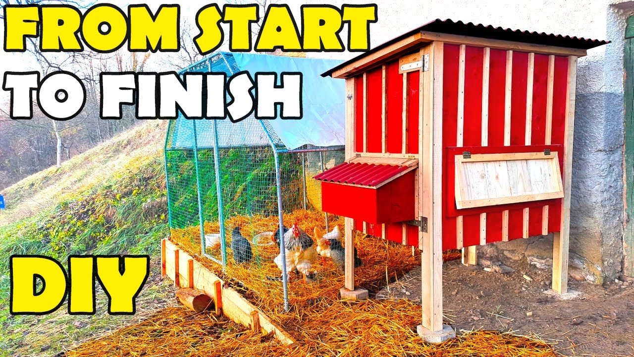 DIY chicken coop FROM START TO FINISH