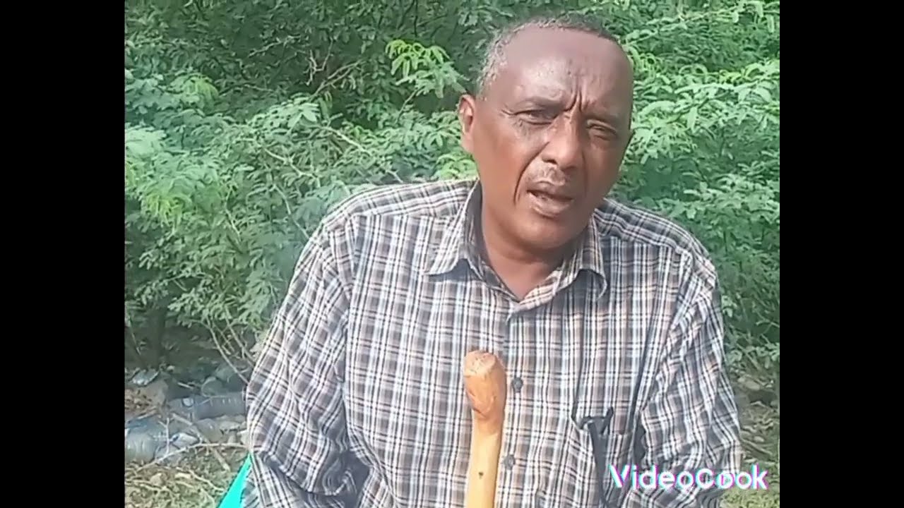 jamac shabel iyo ali guray midna 30 sano ayu walna midna 15 sano ayuu waalnaa j.shabel bana danbeyey