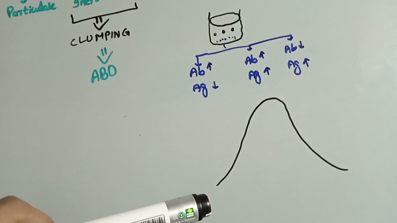 antigen antibody reaction in the laboratory part#2 || agglutination || precipitin test