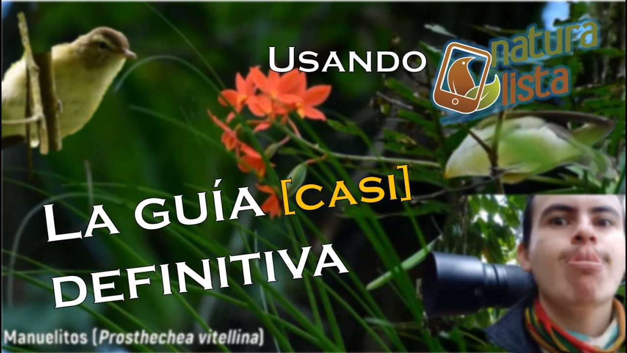 Usando Naturalista, La guía [casi] final | Respondiendo a @Biologia sin censura