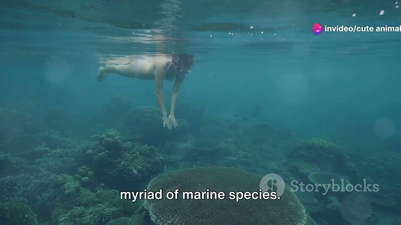 Caspian Wonders: Exploring Iran's Coastal Marine Life