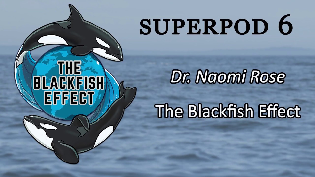 Superpod 6 - Dr. Naomi Rose - The Blackfish Effect