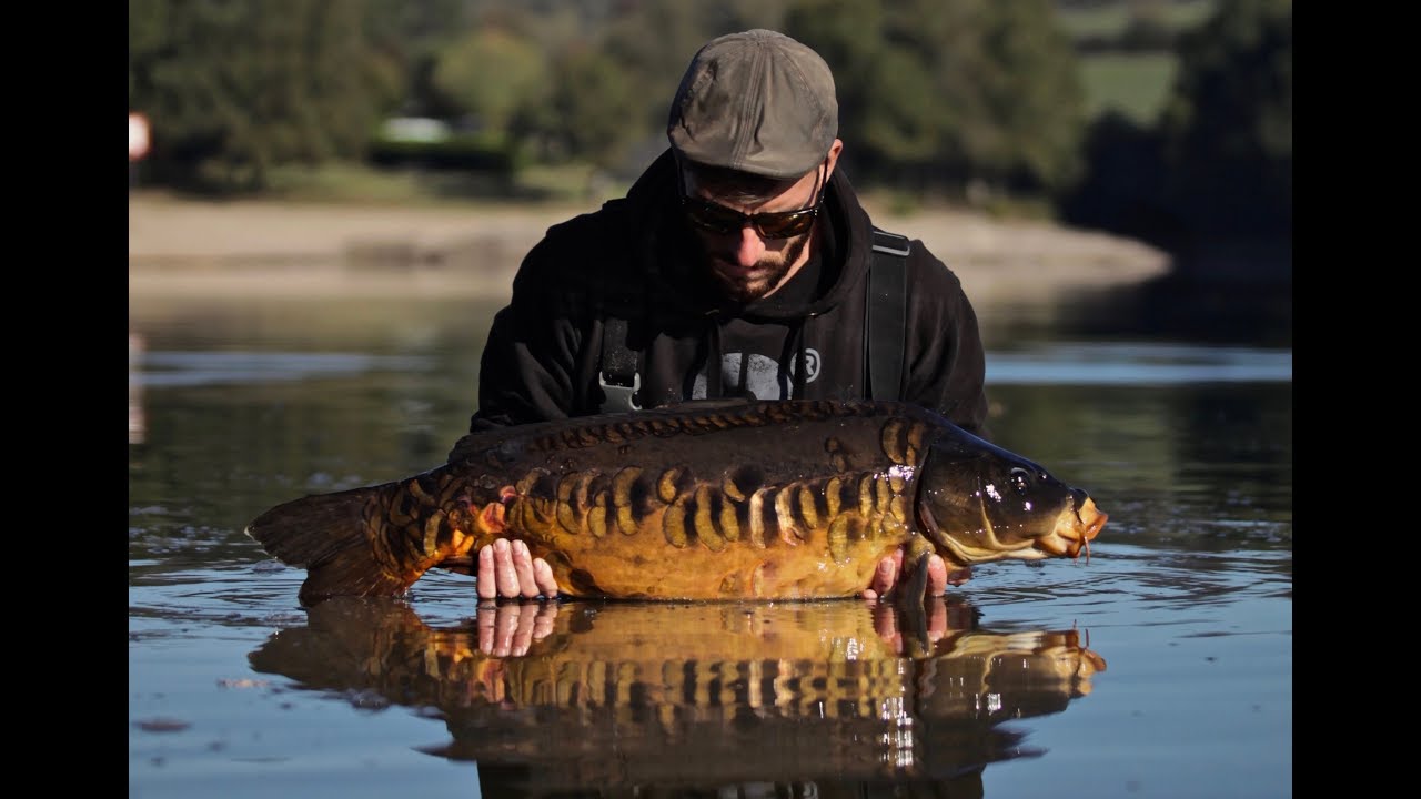 Freecarpfishing 2.0 The Snake Lake (Carpe en grand lac en fran&ccedil;ais)