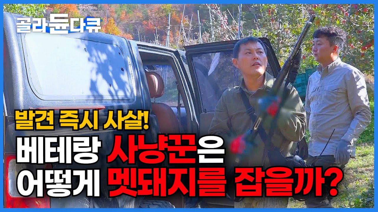 사냥개와 총으로 무장! 험한 산길에 놓친 멧돼지 무리, 베테랑 사냥꾼들은 무사히 멧돼지를 잡을 수 있을까?┃유해동물 포획┃극한직업┃#골라듄다큐