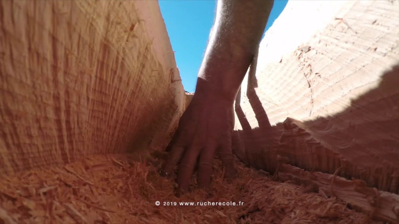 Herstellung einer Klotzbeute - artgerechte Bienenhaltung