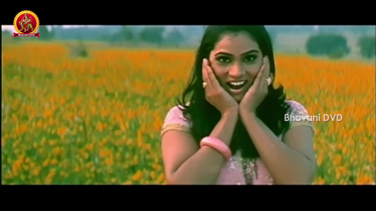 Holidays Movie Back 2 Back Video Songs | Sivanag | Bhargavi |