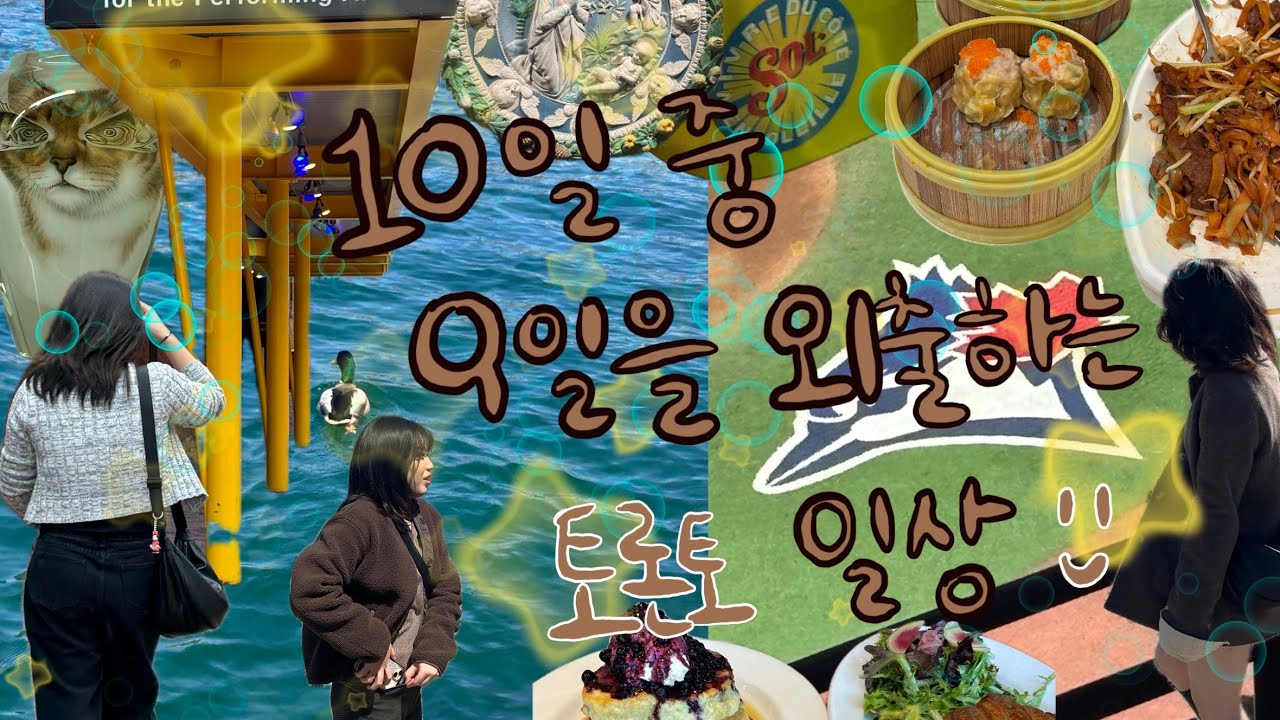 10일중에 9일을 외출하는 평범한 토론토 일상