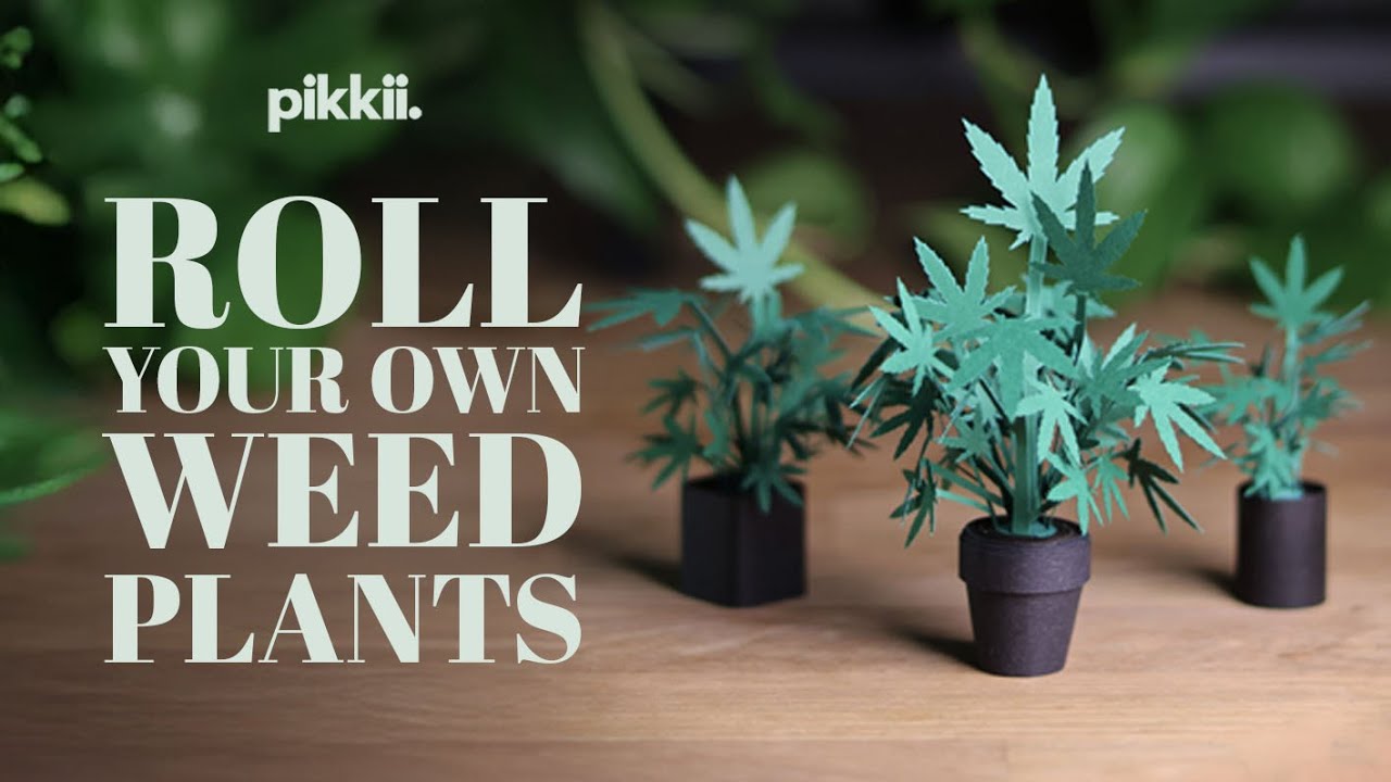 Roll Your Own Weed Plants | Fun DIY Paper Craft Kit | How to Make Paper Cannabis Plants