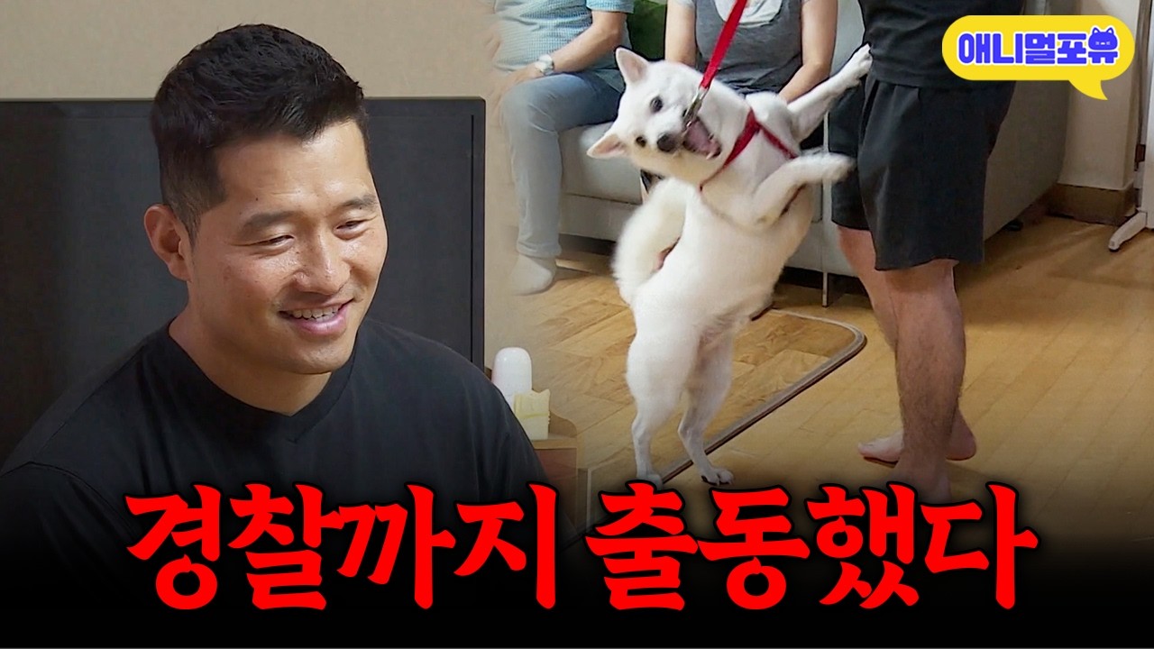 분리불안으로 경찰까지 출동했다..? 외부인만 보면 180도 돌변하는 강아지ㅣKBS 개는 훌륭하다 220815 방송