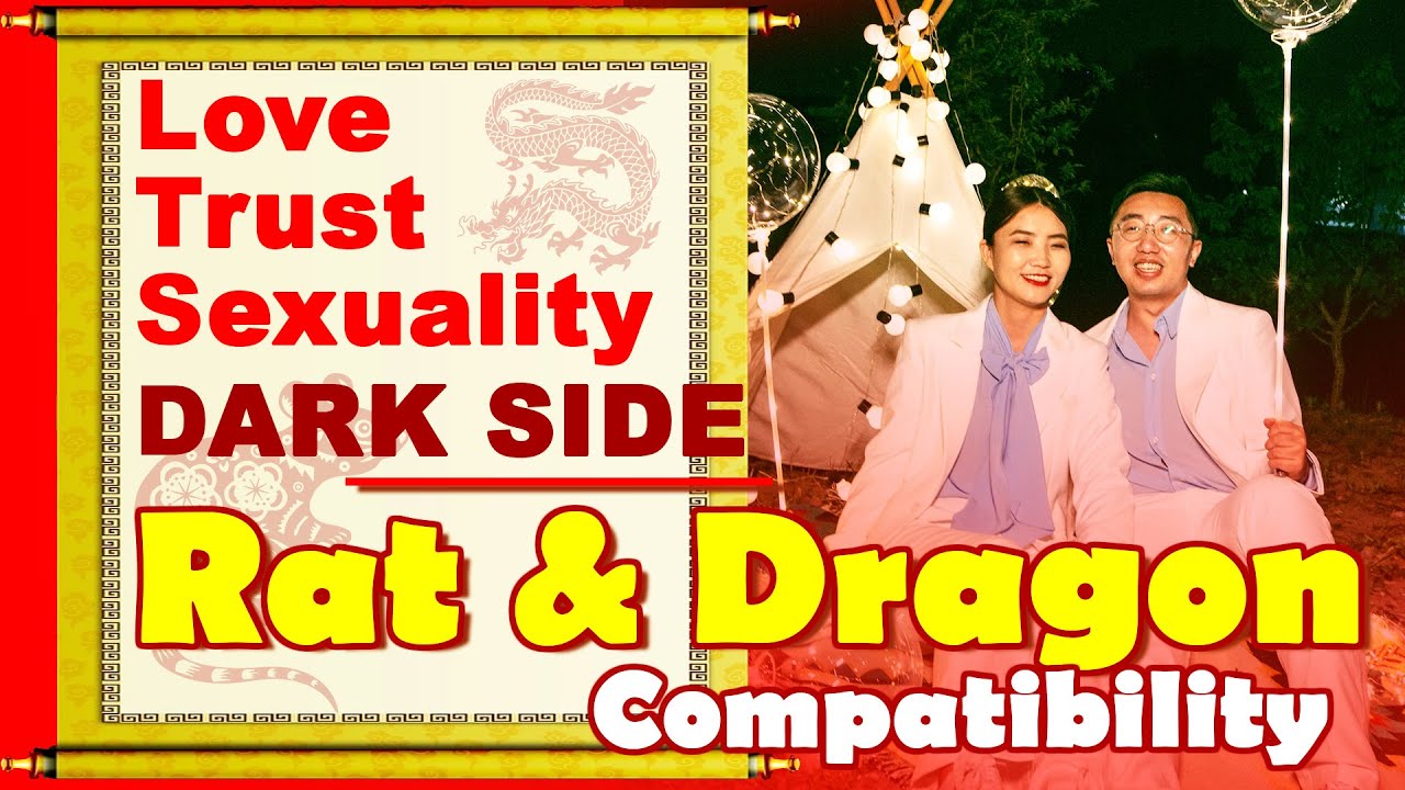 Rat and Dragon Compatibility in Love, Life, Trust & Intimacy | Rat and Dragon Chinese Zodiac Compat