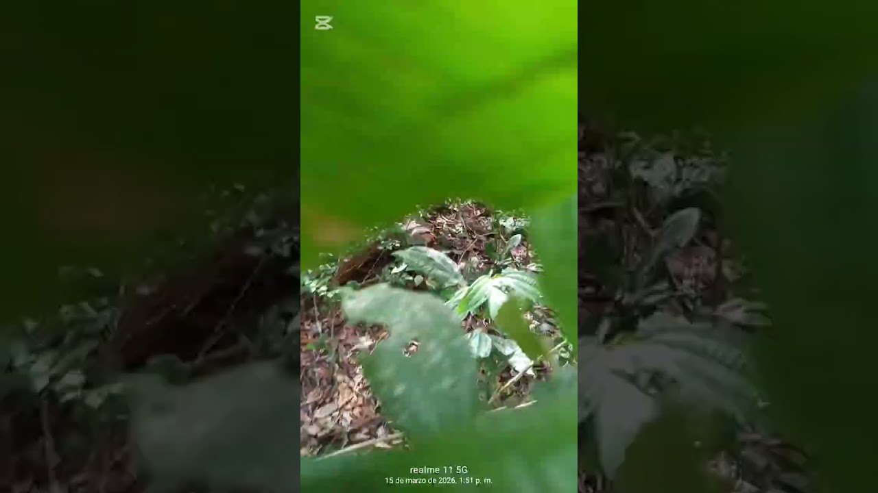 Ellos querían conocerme se le cumplió se le cumplió el deseo