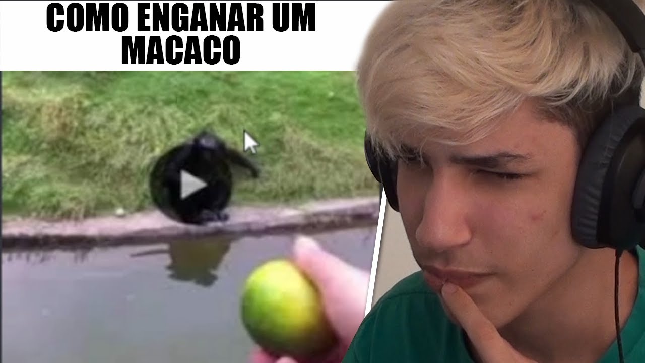 memes de baixo intelecto do discord
