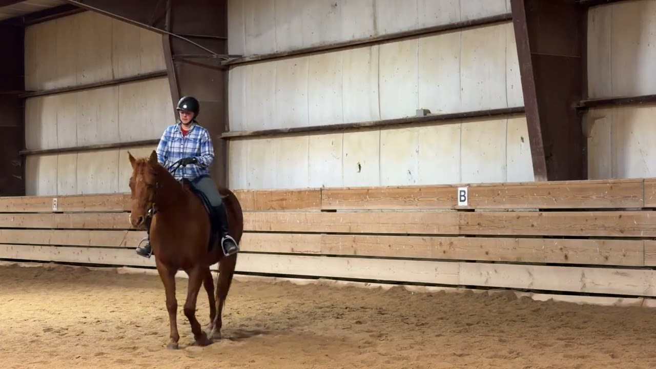 Ty ride 2/12/26