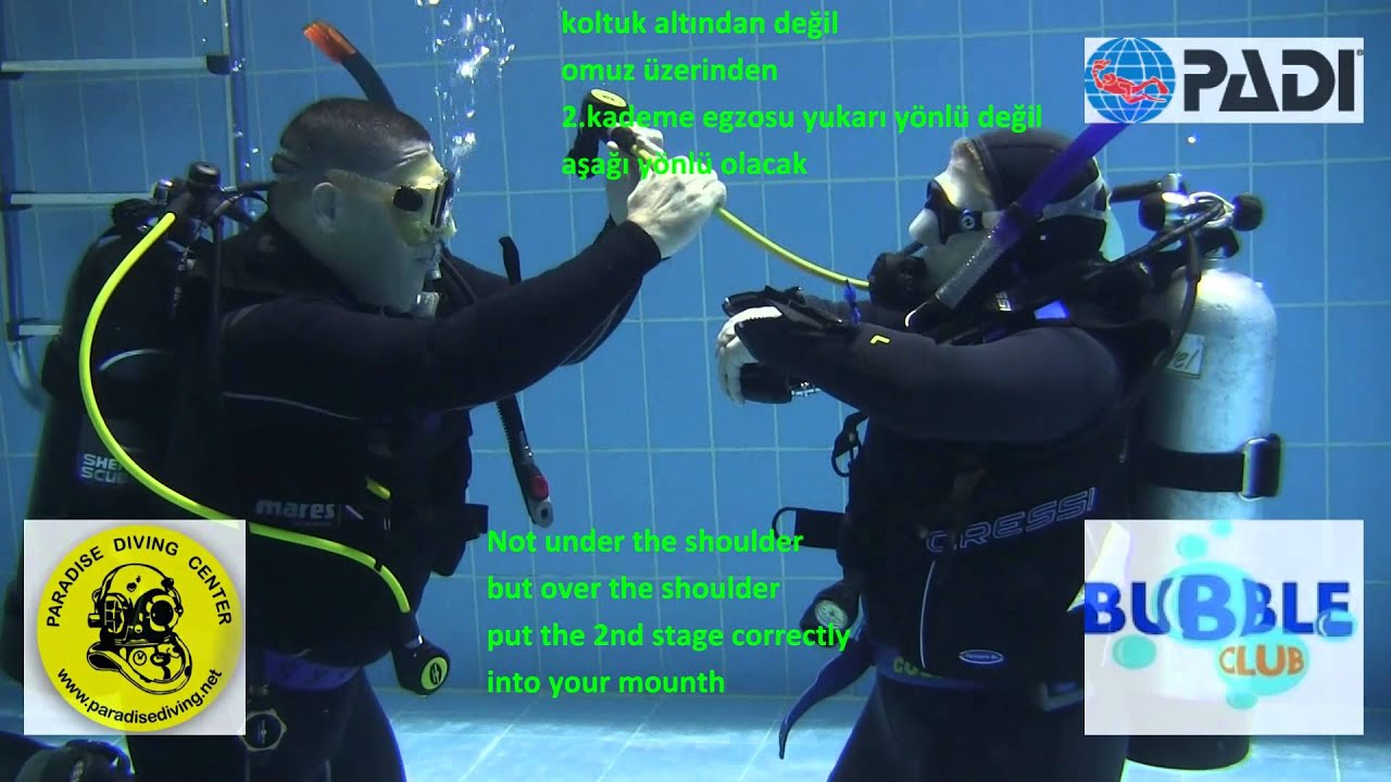 PADI IDC Skill Demonstration - Alternate Air Source Use