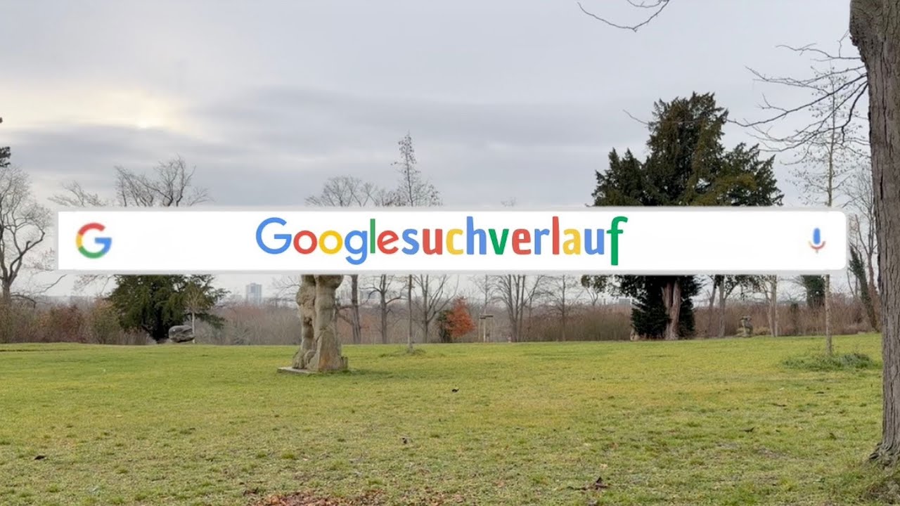 Googlesuchverlauf