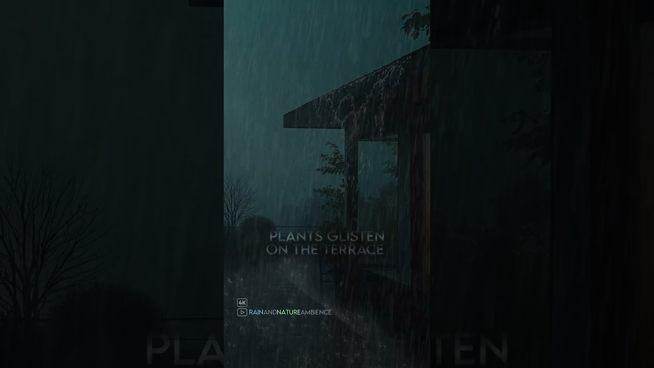 Rooftop Rain at Night &ndash; Urban Ambience for Sleep & Focus #RainSounds #SleepFast #NightRain