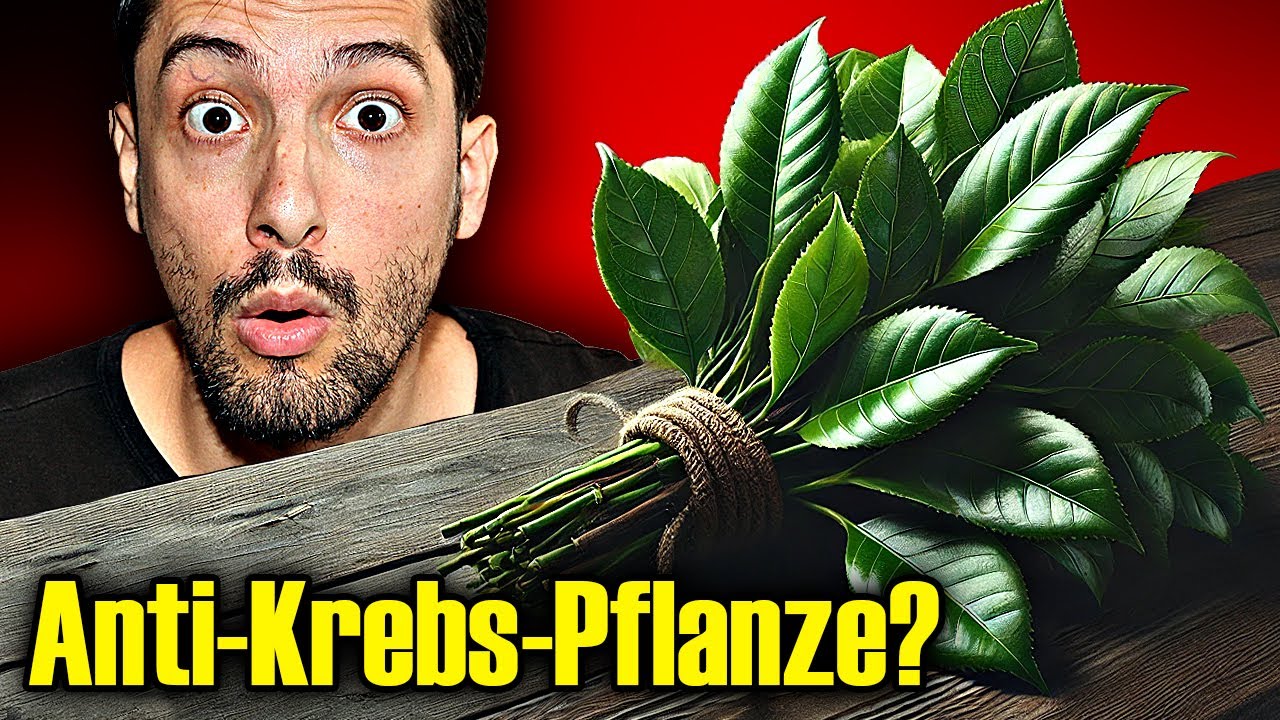 Kann diese Pflanze Krebs verhindern? Biologe verrät die Wahrheit