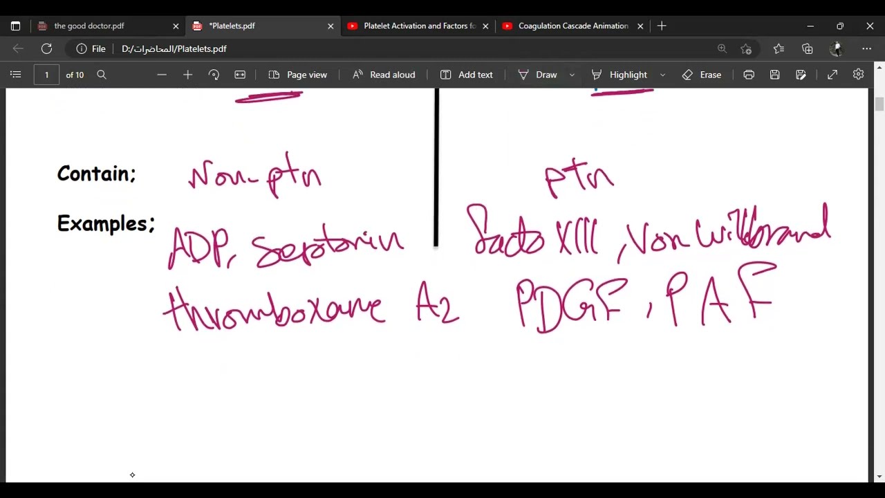 Lec 6; Blood physiology; Hemostasis pt1 د. عبدالرحمن الصعيدي