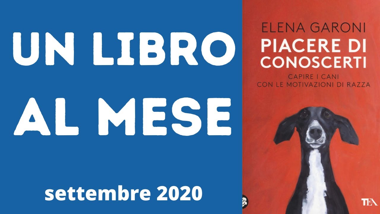 Piacere di conoscerti - Elena Garoni  [Video Recensione]