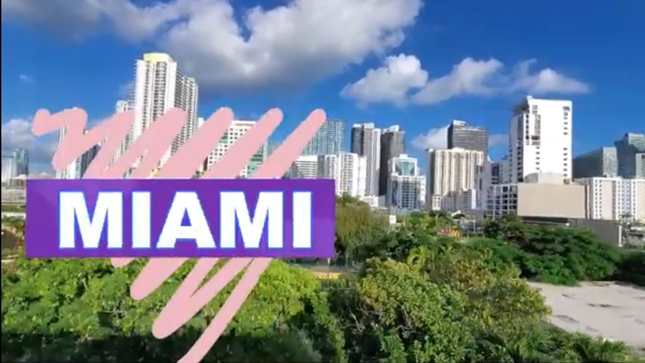 MIAMI - Islas de Famosos / Conociendo con Big Bus y en barco